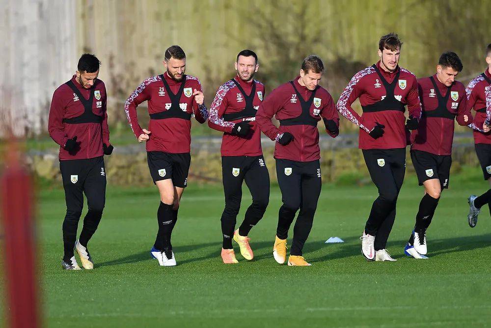 阵容年龄曲 阵容年龄曲