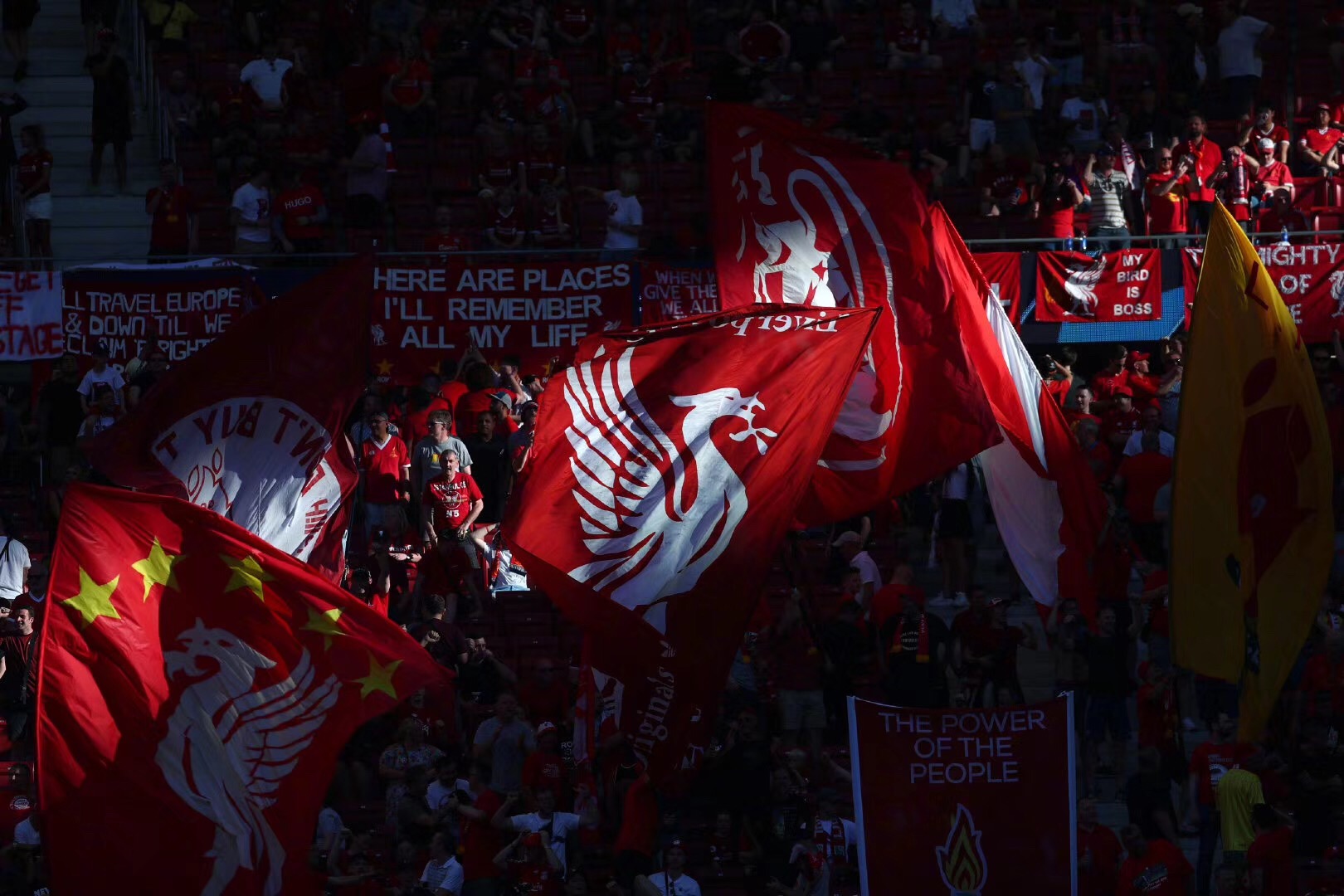 成为天然标 成为天然标